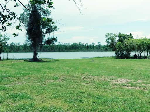 National Forest «Ocala National Forest», reviews and photos, FL-40, Silver Springs, FL 34488, USA