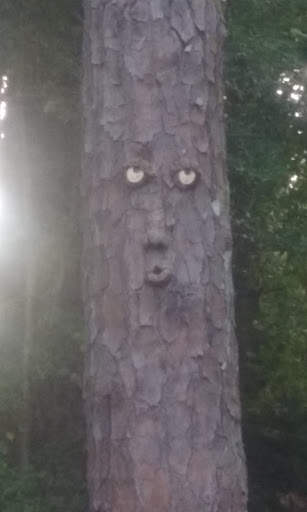 Park «Braelinn Recreation Center», reviews and photos, 201 Log House Rd, Peachtree City, GA 30269, USA