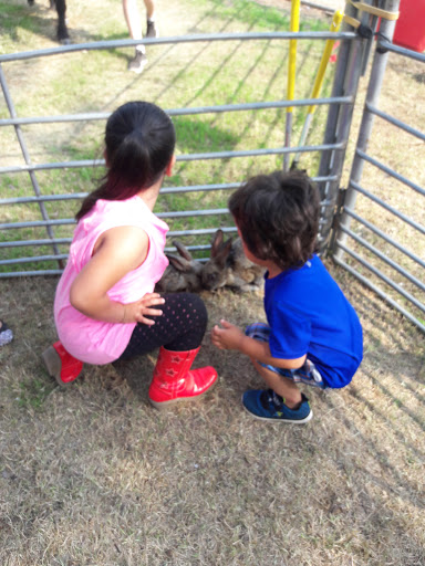 Recreation Center «Euless Family Life Center», reviews and photos, 300 W Midway Dr, Euless, TX 76039, USA