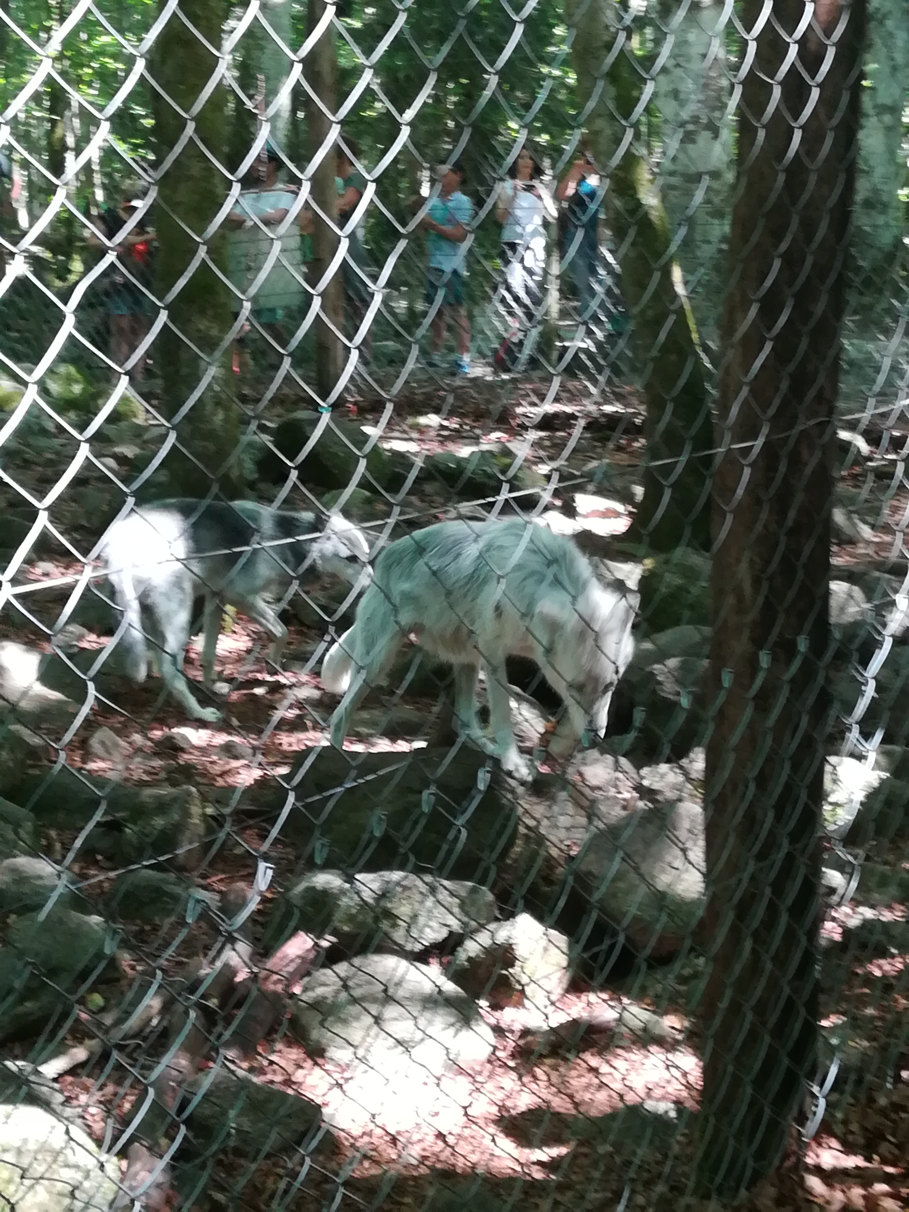 Photo n° 37 de l'avis de Audrey.� fait le 28/07/2017 à 17:11