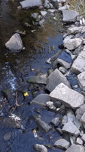 Museum «LSU Rural Life Museum», reviews and photos, 4560 Essen Ln, Baton Rouge, LA 70808, USA