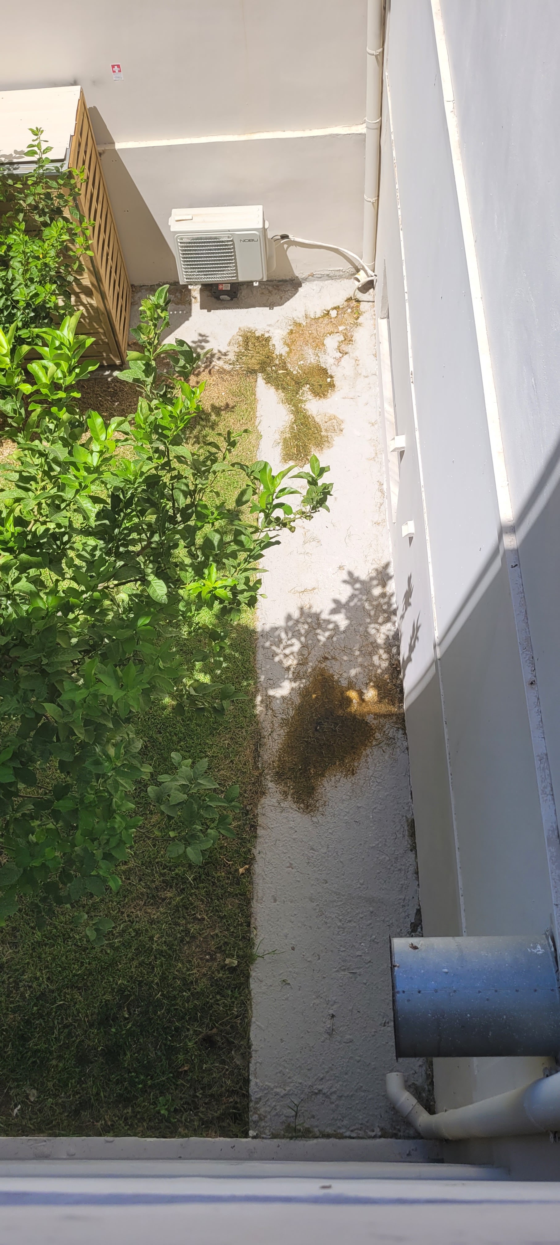 Photo n° 5 de l'avis de Saïtama. fait le 16/07/2022 à 16:56