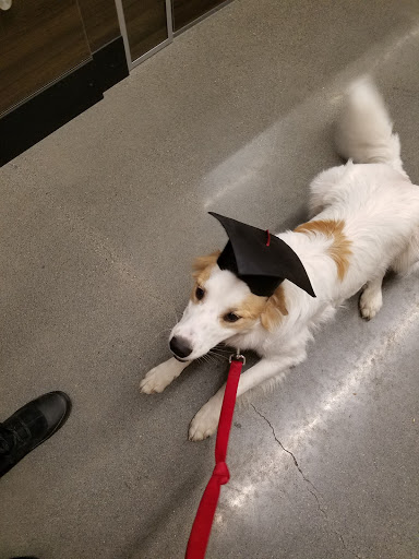 Pet Store «PetSmart», reviews and photos, 14903 4th Ave SW Ste 200, Burien, WA 98166, USA