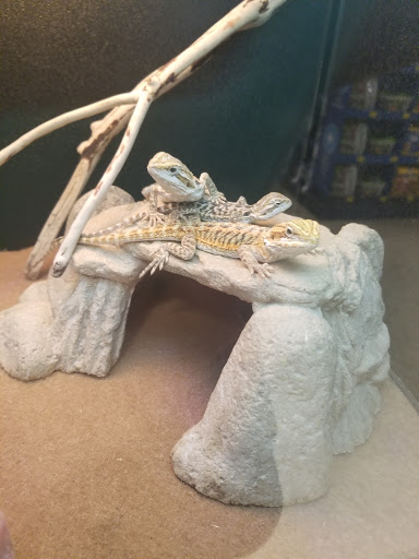 Pet Supply Store «PetSmart», reviews and photos, 150 Glynn Isle, Brunswick, GA 31525, USA