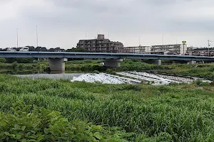 Toyomizu Bridge image