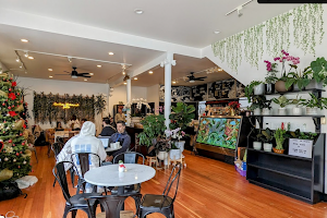 Fiddle Fig Cafe & Coffee image