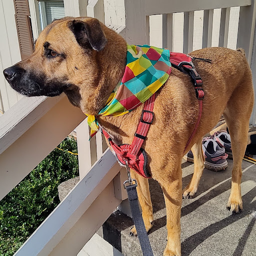 Pet Supply Store «PetSmart», reviews and photos, 3803 Venture Dr, Duluth, GA 30096, USA