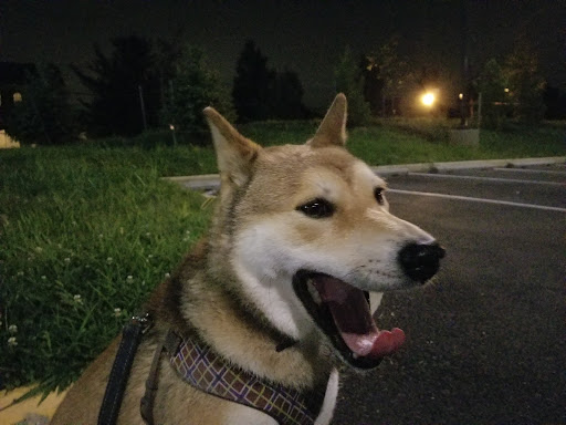 Recreation Center «Nancy H. Dacek North Potomac Community Recreation Center», reviews and photos, 13850 Travilah Rd, Rockville, MD 20850, USA