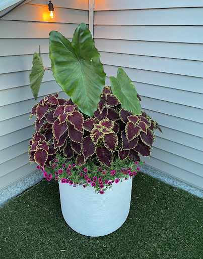 Insurance Agency «Farmers Insurance - Joseph Lombardi», reviews and photos