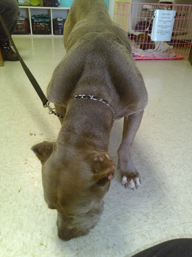 Animal Hospital «Animal Medical Corpus Christi», reviews and photos, 6822 Everhart Rd, Corpus Christi, TX 78413, USA