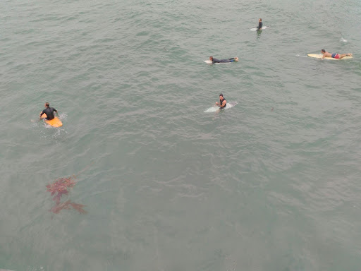 Espresso Bar «Pacific Bean Coffee», reviews and photos, 712 Garnet Ave, San Diego, CA 92109, USA