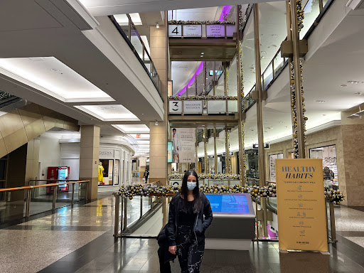 Shopping Mall «The Shops at North Bridge», reviews and photos, 520 N Michigan Ave, Chicago, IL 60611, USA