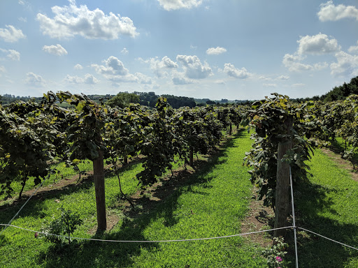 Winery «Breitenbach Wine Cellars», reviews and photos, 5934 Old Rte 39 NW, Dover, OH 44622, USA