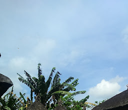 Pura Desa Buduk photo