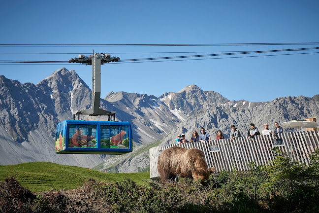 Arosa Bärenland