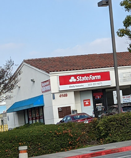 Insurance Agency «Chelly Gonzalez - State Farm Insurance Agent», reviews and photos