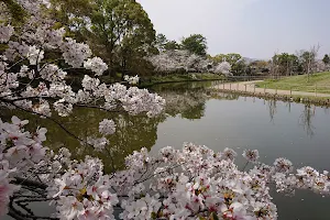 Itamishi Midorigaoka Park image