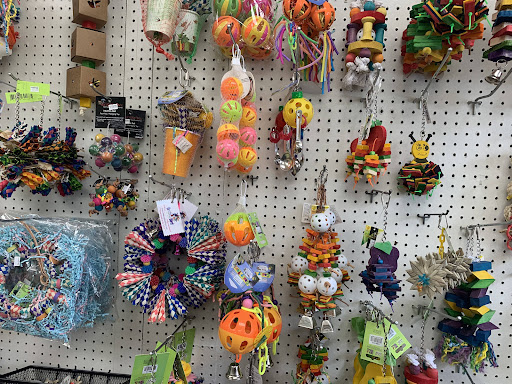 Bird Shop «Paterson Bird Store», reviews and photos, 13 Furler St # 1, Totowa, NJ 07512, USA