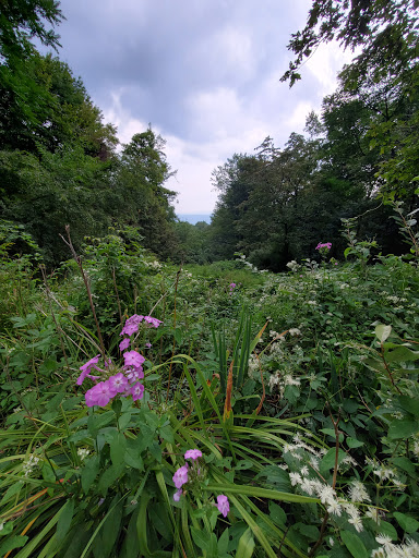 Nature Preserve «Eidolon Nature Preserve», reviews and photos, 2146 Orleans Rd, Great Cacapon, WV 25422, USA