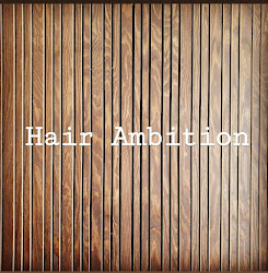Hair Ambition ApS