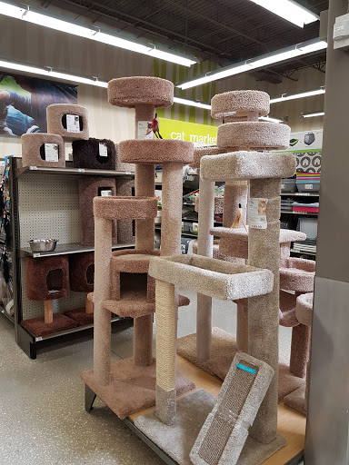 Pet Supply Store «Petco Animal Supplies», reviews and photos, 11147 Park Blvd N, Seminole, FL 33772, USA