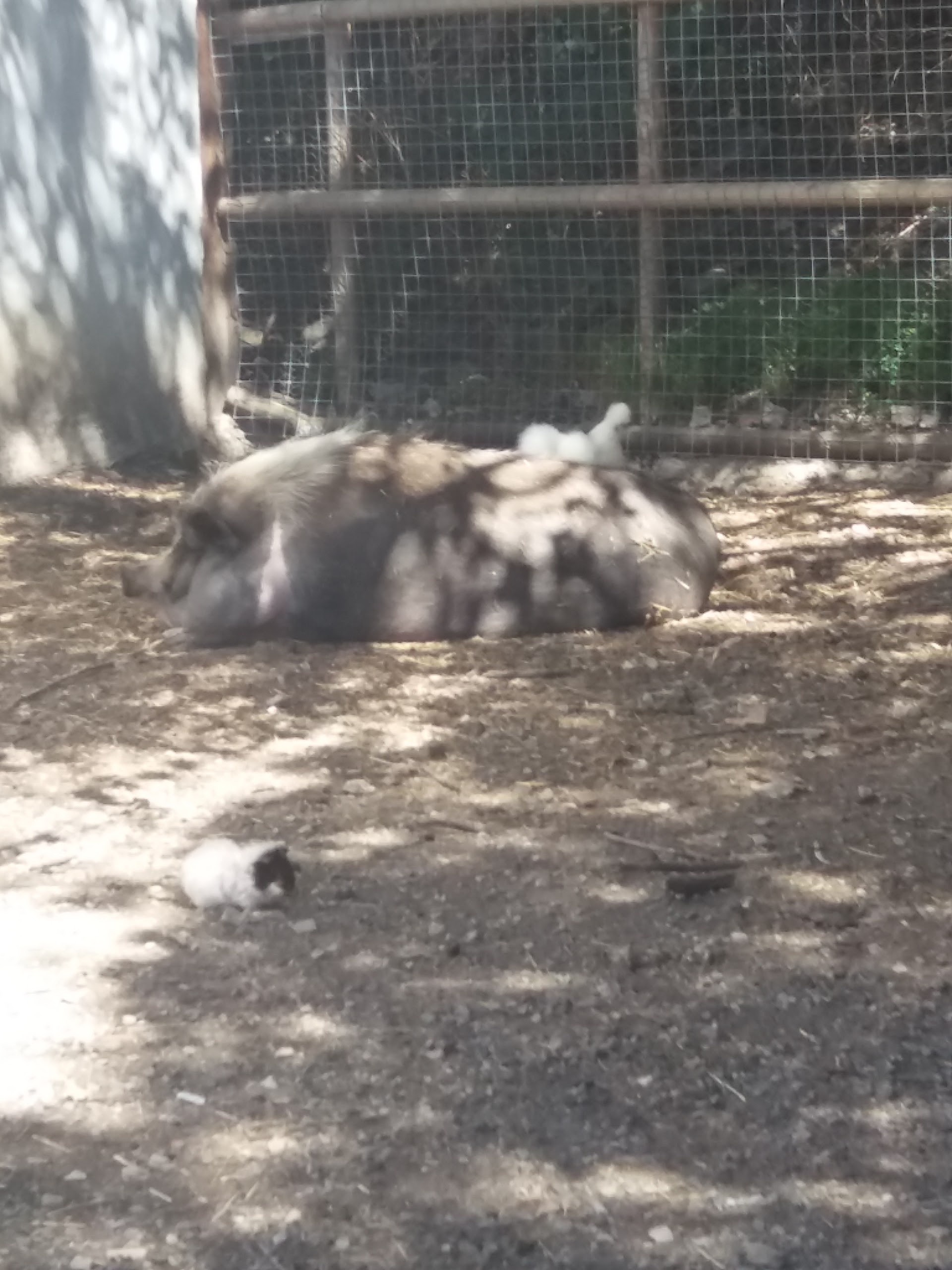 Photo n° 28 de l'avis de Damien.i fait le 21/08/2017 à 19:35