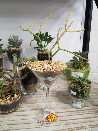 Natural Foods Store «The Turnip Truck Urban Fare», reviews and photos, 321 12th Ave S, Nashville, TN 37203, USA