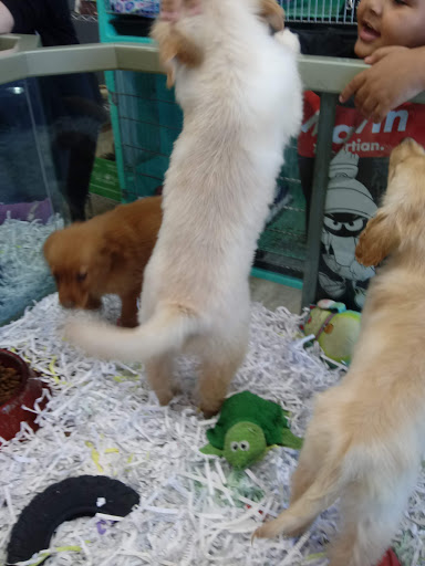 Pet Store «Animal House», reviews and photos, 7869 Hamilton Ave, Cincinnati, OH 45231, USA