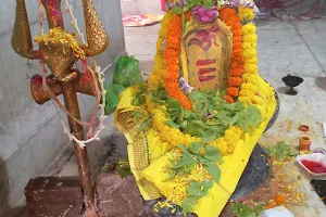 Gaya Kali Bari image