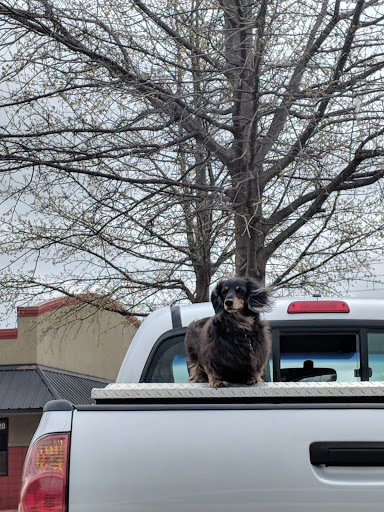 Supermarket «ALDI», reviews and photos, 3214 M.L.K. Jr Blvd, Fayetteville, AR 72704, USA
