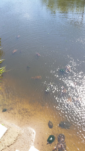 Zoo «Gulf Breeze Zoo», reviews and photos, 5701 Gulf Breeze Pkwy, Gulf Breeze, FL 32563, USA