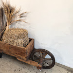 Photo n°4 de l'avis de Fabio. fait le 01/04/2023 à 15:55 sur le  Mollica à Turin