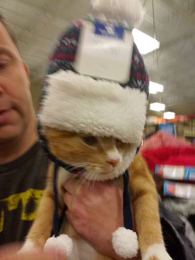 Pet Supply Store «PetSmart», reviews and photos, 144 Retail Commons Pkwy, Martinsburg, WV 25403, USA