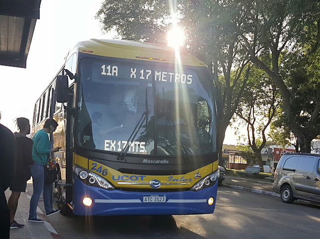 Opiniones de Parada de omnibus en Canelones - Oficina de empresa