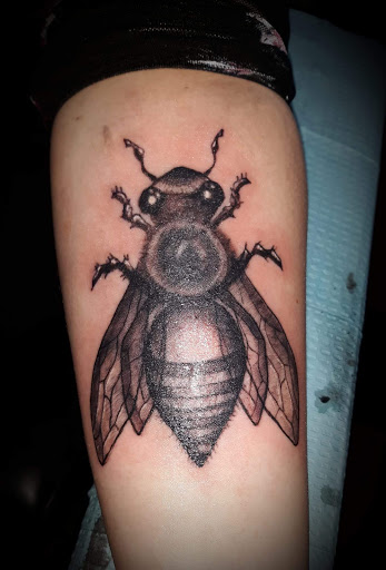 Explore dory tattoo ideas, creative tattoo ideas in Arcade, available at 98 South Tattoo and Piercing