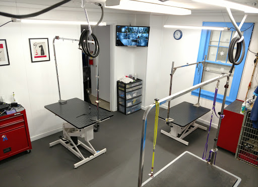 Pet Groomer «Blue Ribbon Dog Grooming LLC Anderson», reviews and photos, 5038 S Scatterfield Rd, Anderson, IN 46013, USA