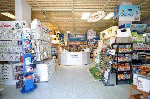 Pienso Express - Madrid