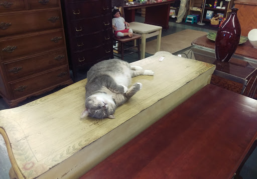 Consignment Shop «This & That Consignment & Gfts», reviews and photos, 516 Philadelphia Rd, Joppa, MD 21085, USA