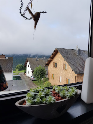 Extérieur Ferienwohnung Schöne FeWo/kleiner Preis ab 45 € 65385 Rüdesheim am Rhein