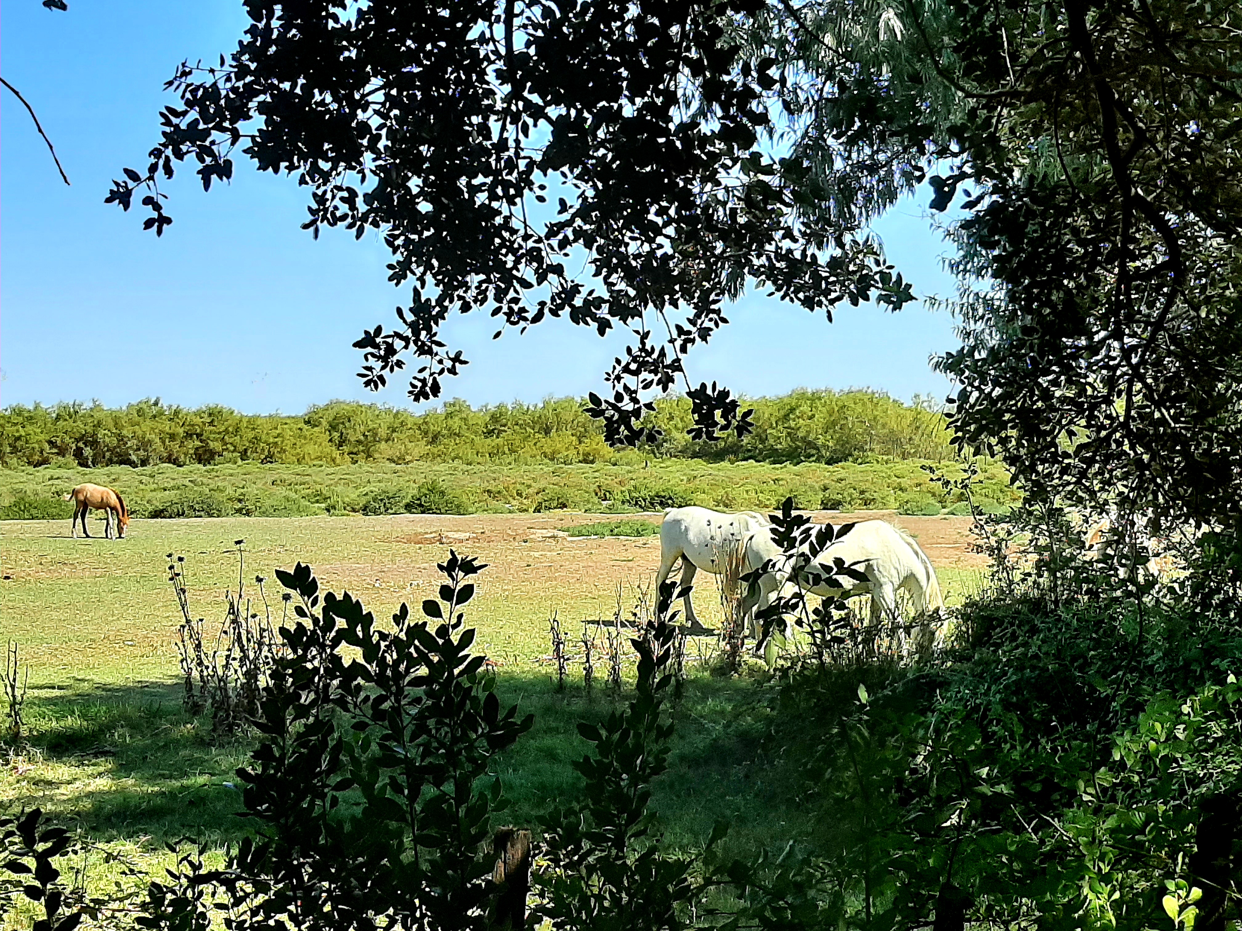 Photo n° 1 de l'avis de Nicolas.a fait le 19/08/2021 à 13:04