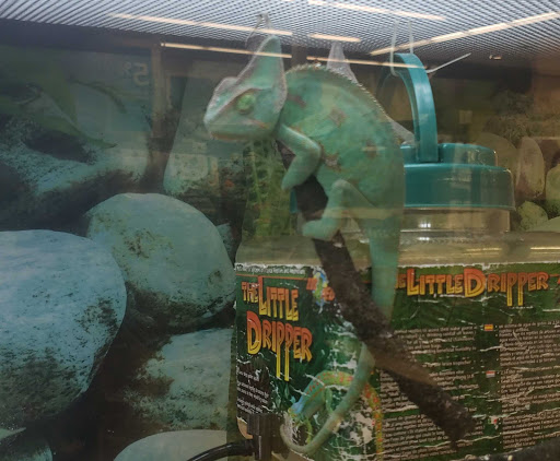 Pet Supply Store «Petco Animal Supplies», reviews and photos, 2435 N Hwy 67, Florissant, MO 63033, USA