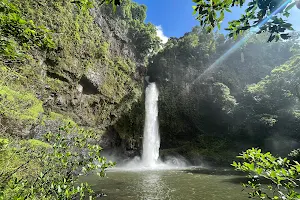 Nandroya Falls image