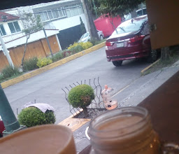 Seccond cup coffe photo