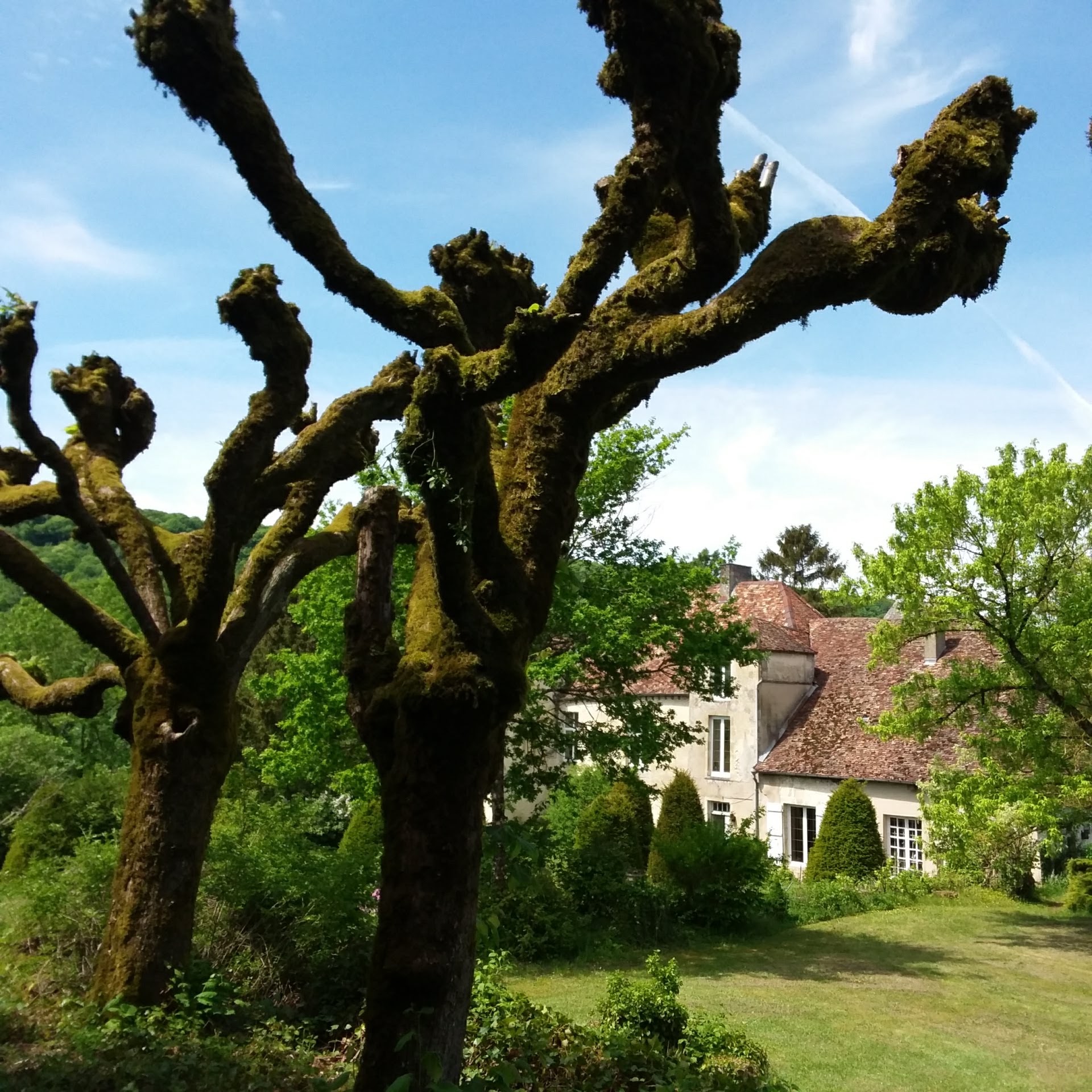 Photo n° 3 de l'avis de Rianne.e fait le 12/06/2018 à 18:42