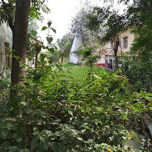 Shirgul Mandir photo