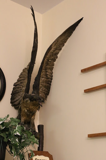 Learning Center «Trailside Museum of Natural History», reviews and photos, 738 Thatcher Ave, River Forest, IL 60305, USA