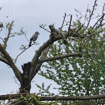 Photo n°4 de l'avis de Valeria.a fait le 02/05/2023 à 16:43 sur le  Casale Vitello à Acquapendente