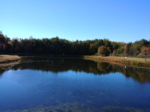 Car Wash «Autospa Carwash», reviews and photos, 3171 Golansky Blvd, Woodbridge, VA 22192, USA