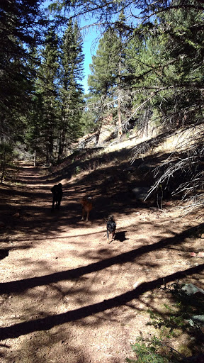 Golf Club «Shining Mountain Golf Course & Event Center», reviews and photos, 100 Shining Mountain Ln, Woodland Park, CO 80863, USA