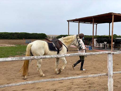 Cursos equitacion Lima